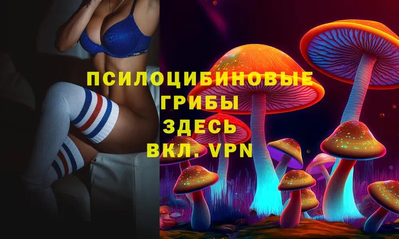 Псилоцибиновые грибы Psilocybine cubensis  Кирс 